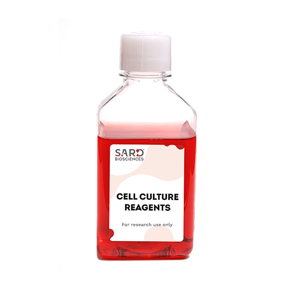 Cell-Culture