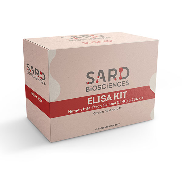 SB-EKH1097 Human_Elisa-Kits