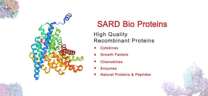 850x392_Proteins